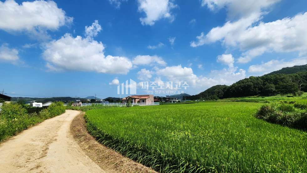 경기 파주시 월롱면 도내리 도내리 전 286평 매매 전원주택부지 주말농장 경치최상 매매 매물번호 10462 사진 4