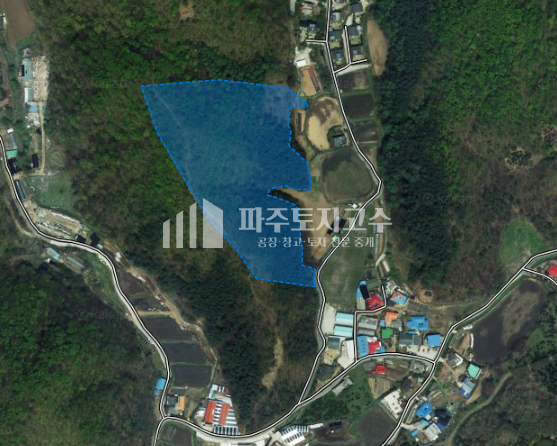 경기 파주시 법원읍 갈곡리 갈곡리 자연인토지 8250평 매매 매물번호 10100 사진 1