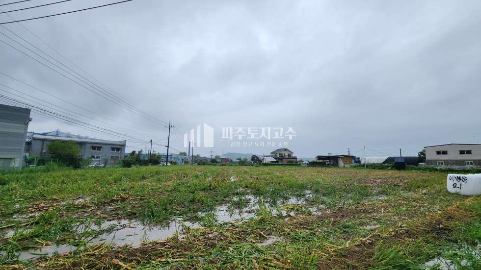 경기 파주시 월롱면 위전리 위전리 6m 도로접 계획관리 토지 706평 매매 매매 매물번호 10137 사진 1